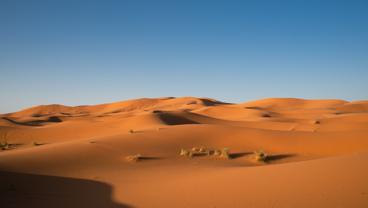 desert