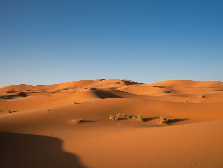 desert
