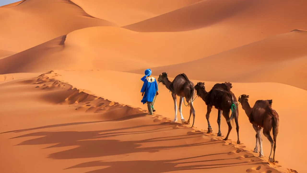 Camel Ride